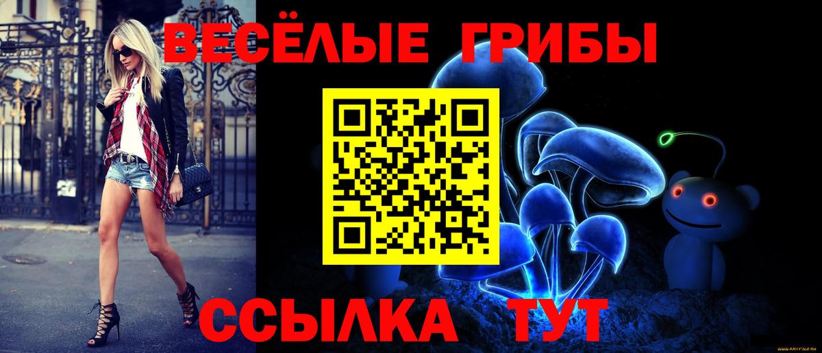 Воркута  Псилоцибиновые грибы мицелий  Вход с VPN 